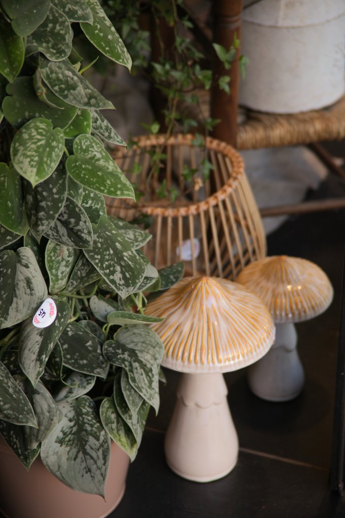 Un doux parfum d'automne photo 7